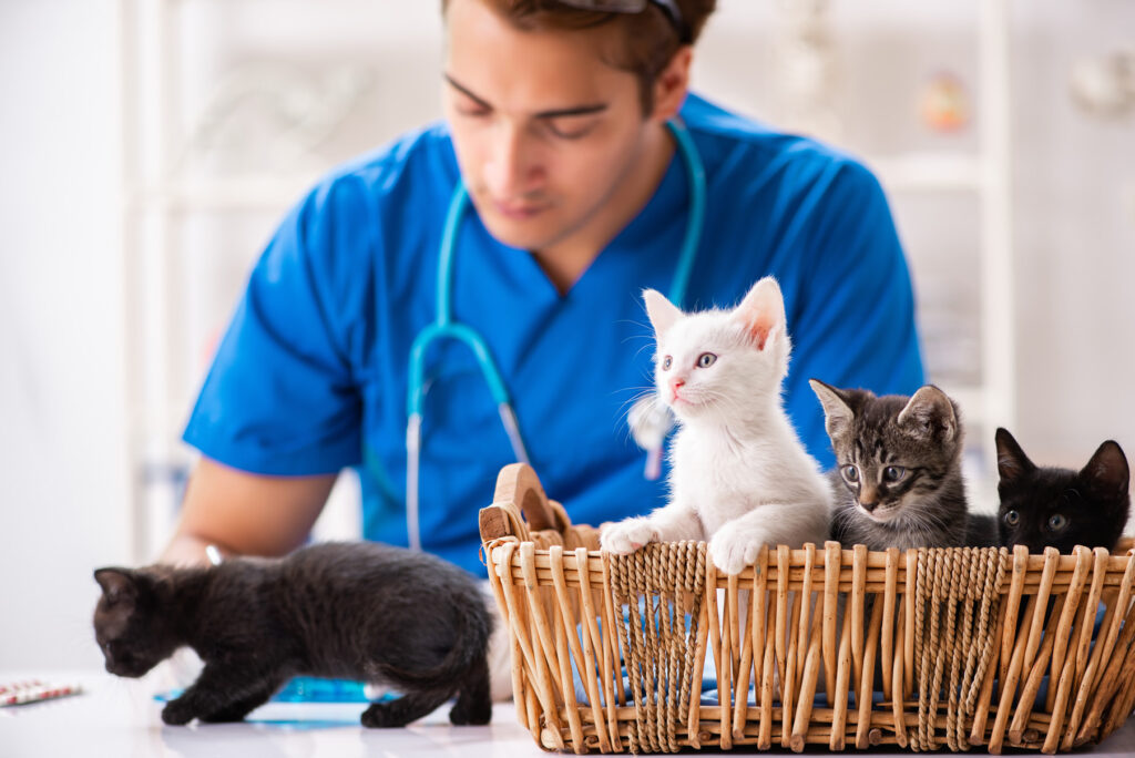 Veterinary Care